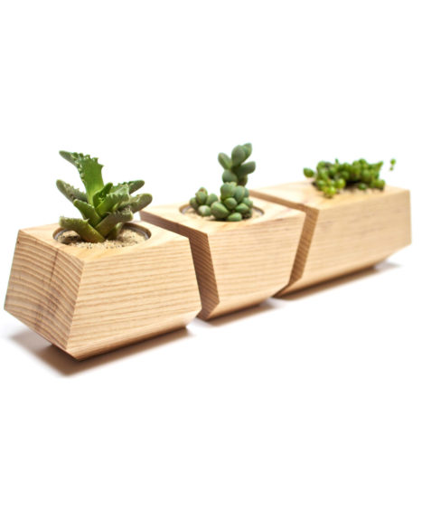 3 Pc. Solid Ash Wood Planters in Natural