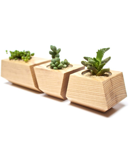 3 Pc. Solid Ash Wood Planters in Natural